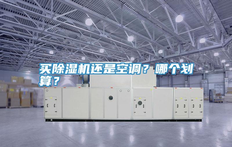 買除濕機還是空調(diào)？哪個劃算？