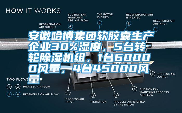 安徽哈博集團軟膠囊生產(chǎn)企業(yè)30%濕度，5臺轉(zhuǎn)輪除濕機組，1臺60000風量，4臺45000風量