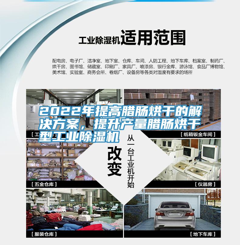 2022年提高臘腸烘干的解決方案，提升產(chǎn)量臘腸烘干型工業(yè)除濕機(jī)