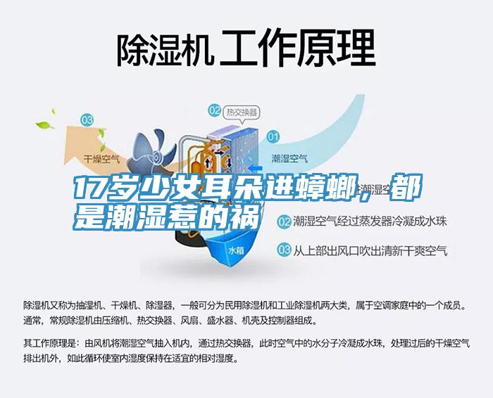 17歲少女耳朵進蟑螂,都是潮濕惹的禍