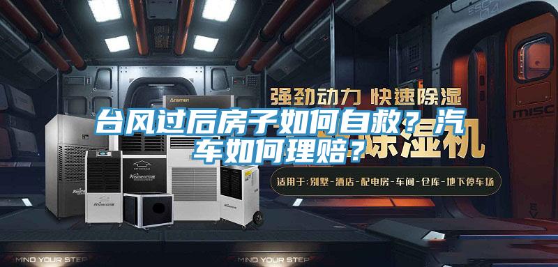 臺(tái)風(fēng)過(guò)后房子如何自救?汽車如何理賠?