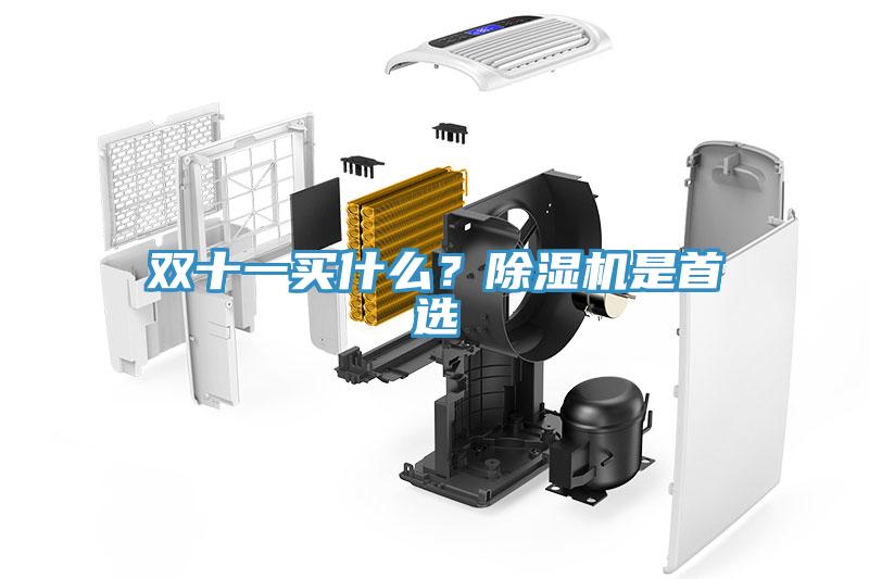 雙十一買什么？除濕機是首選