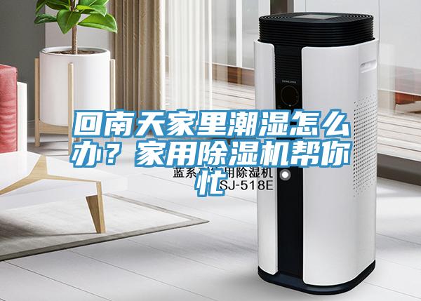 回南天家里潮濕怎么辦?家用除濕機幫你忙