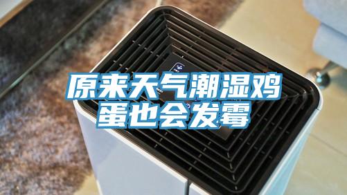 原來天氣潮濕雞蛋也會發霉