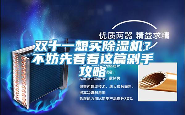 雙十一想買除濕機(jī)？不妨先看看這篇剁手攻略