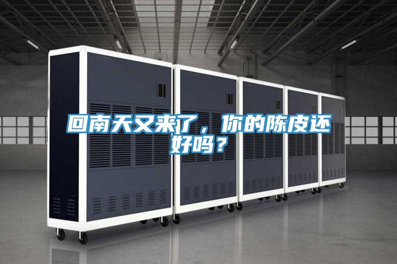 回南天又來了，你的陳皮還好嗎？