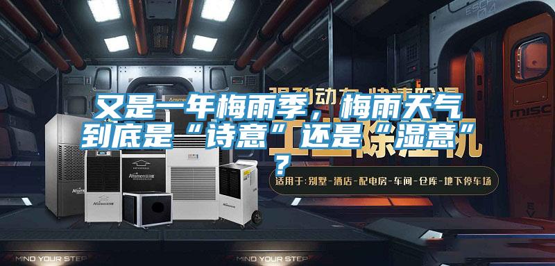 又是一年梅雨季,梅雨天氣到底是“詩意”還是“濕意”?