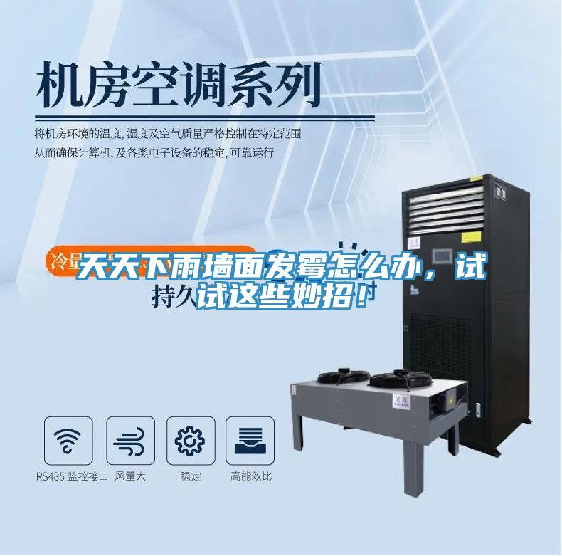 天天下雨墻面發霉怎么辦,試試這些妙招!