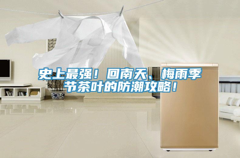 史上最強(qiáng)！回南天、梅雨季節(jié)茶葉的防潮攻略！