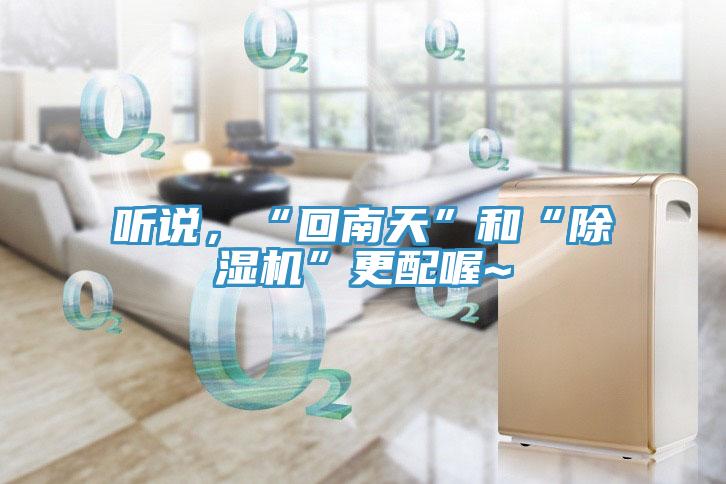 聽說，“回南天”和“除濕機”更配喔~