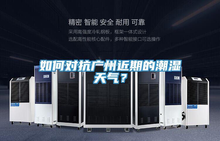 如何對抗廣州近期的潮濕天氣?