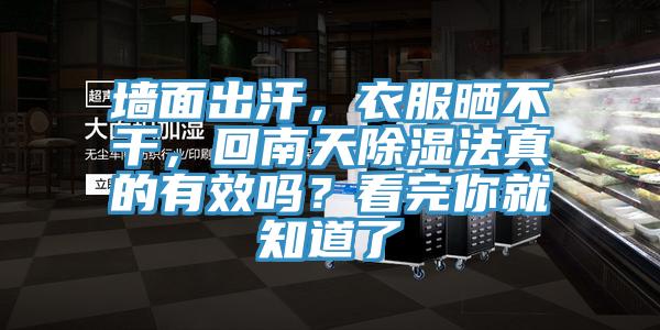 墻面出汗,衣服曬不干,回南天除濕法真的有效嗎?看完你就知道了