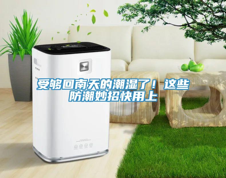 受夠回南天的潮濕了！這些防潮妙招快用上