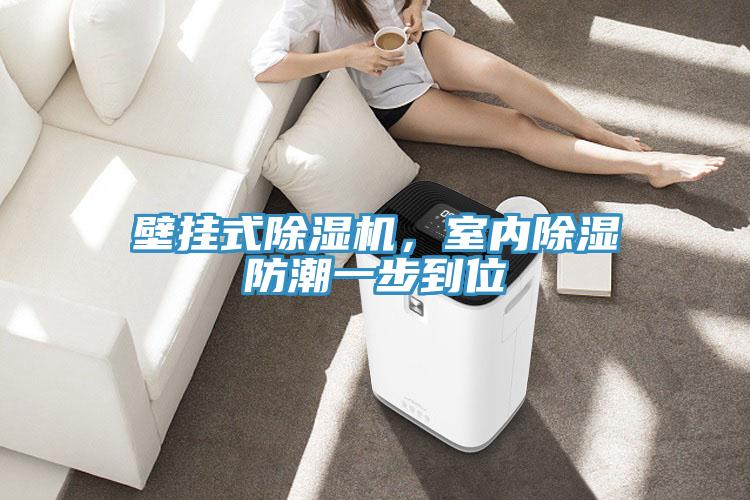 壁掛式除濕機(jī),室內(nèi)除濕防潮一步到位