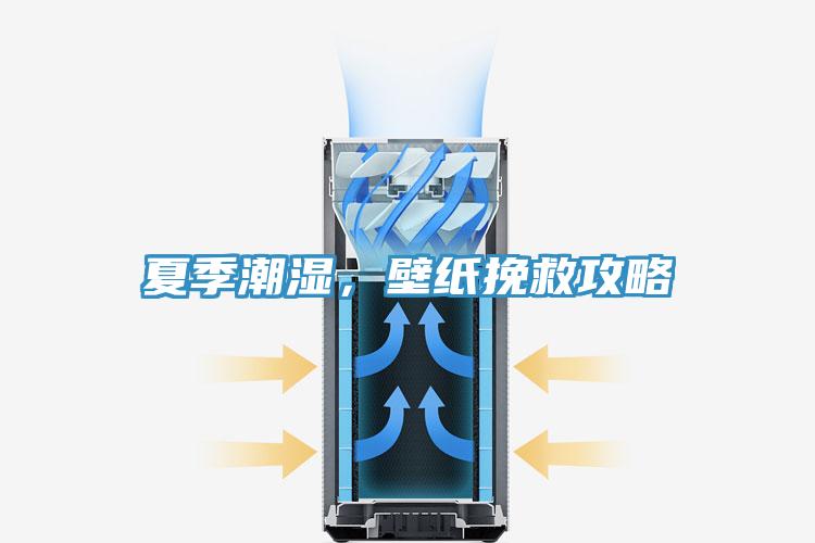 夏季潮濕,壁紙挽救攻略