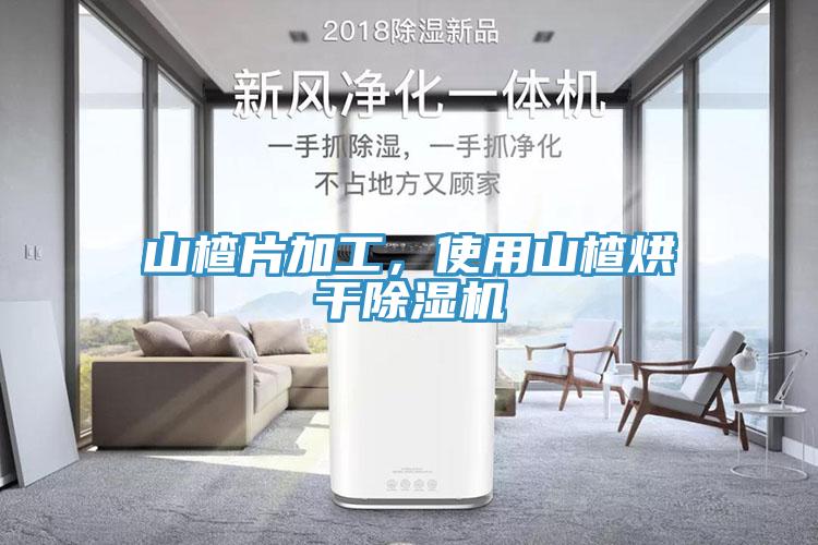 山楂片加工，使用山楂烘干除濕機(jī)