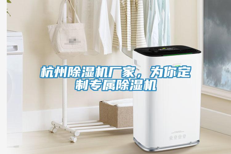 杭州除濕機廠家,為你定制專屬除濕機