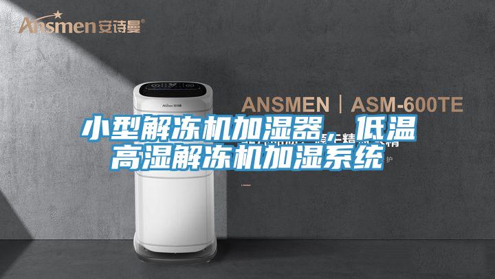 小型解凍機加濕器,低溫高濕解凍機加濕系統