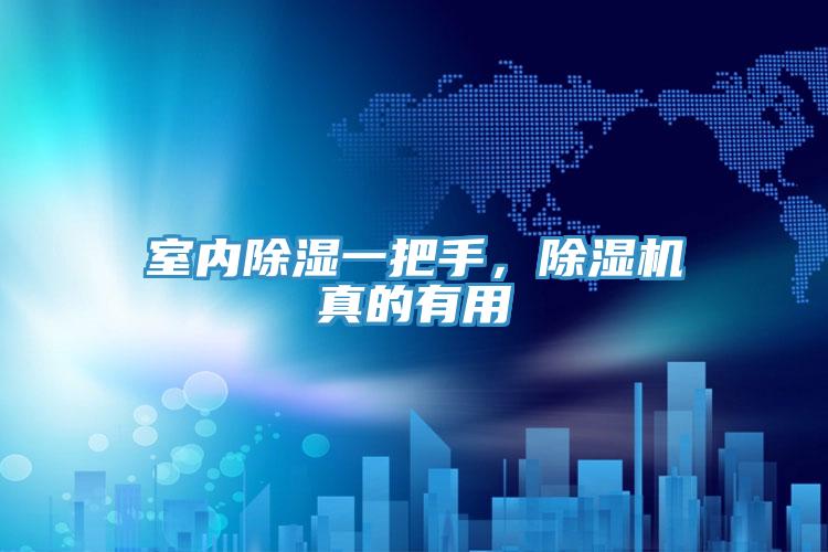 室內(nèi)除濕一把手，除濕機真的有用