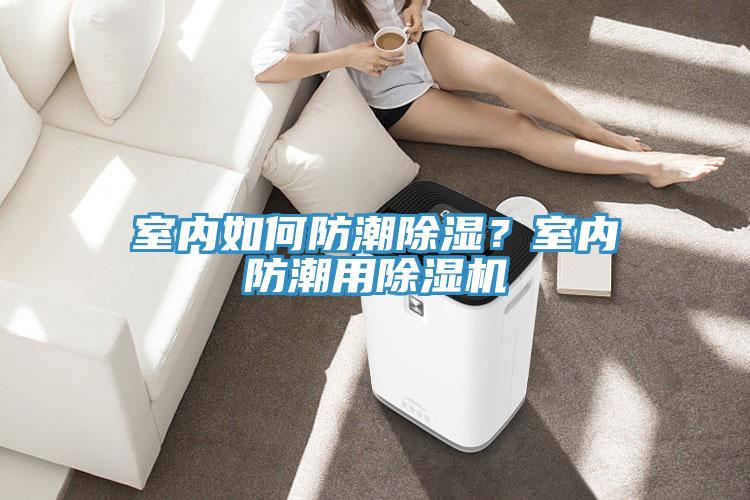 室內如何防潮除濕?室內防潮用除濕機