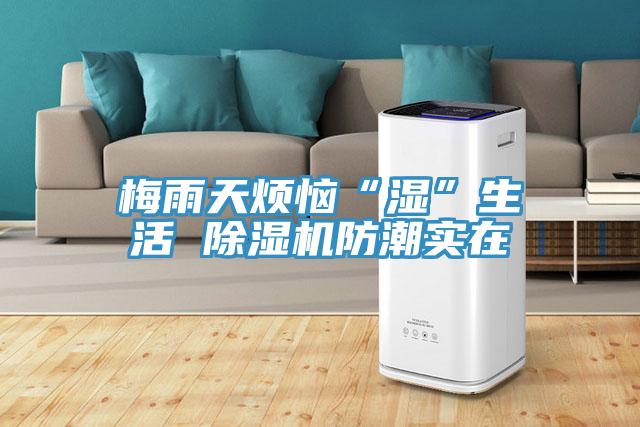 梅雨天煩惱“濕”生活 除濕機(jī)防潮實在