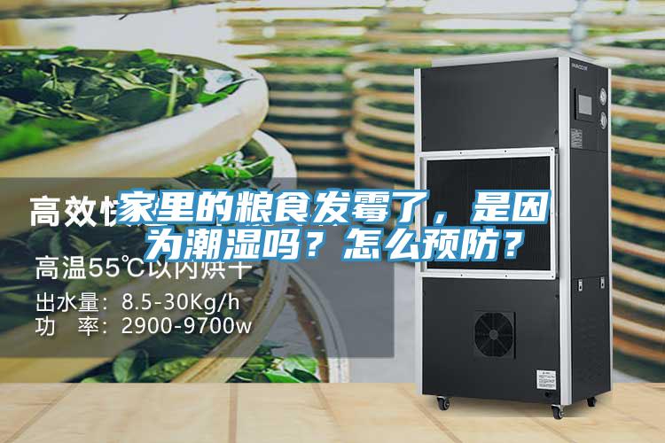 家里的糧食發霉了,是因為潮濕嗎?怎么預防?