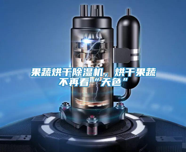 果蔬烘干除濕機，烘干果蔬不再看“天色”