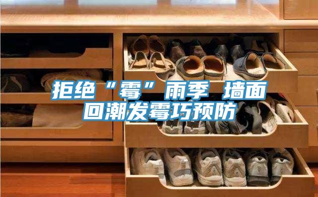 拒絕“霉”雨季 墻面回潮發霉巧預防