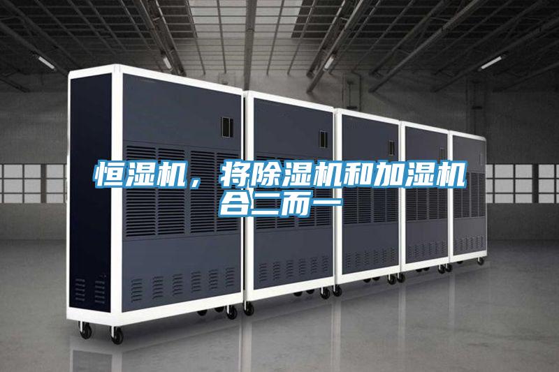 恒濕機，將除濕機和加濕機合二而一