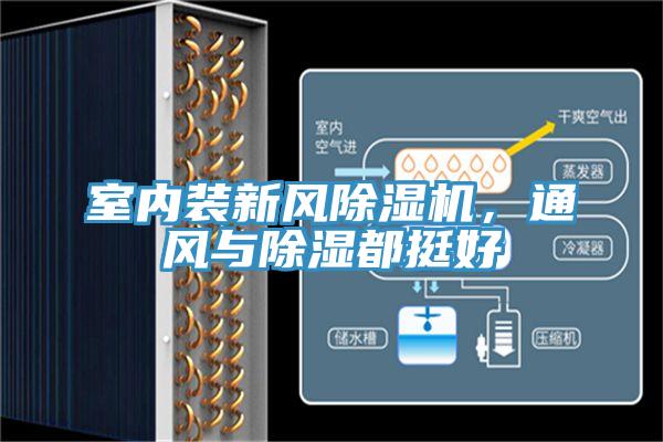 室內(nèi)裝新風(fēng)除濕機，通風(fēng)與除濕都挺好