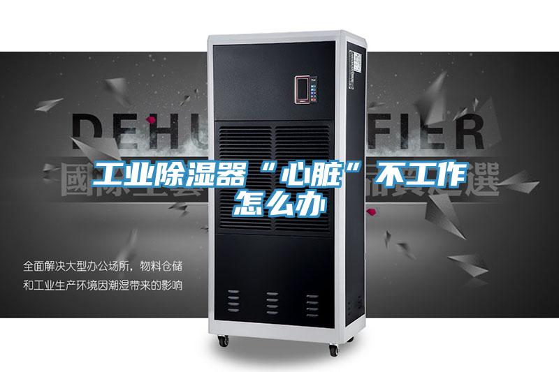 工業除濕器“心臟”不工作怎么辦