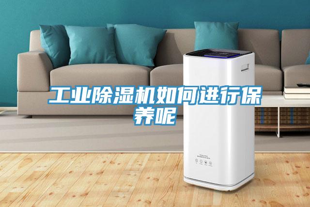 工業除濕機如何進行保養呢
