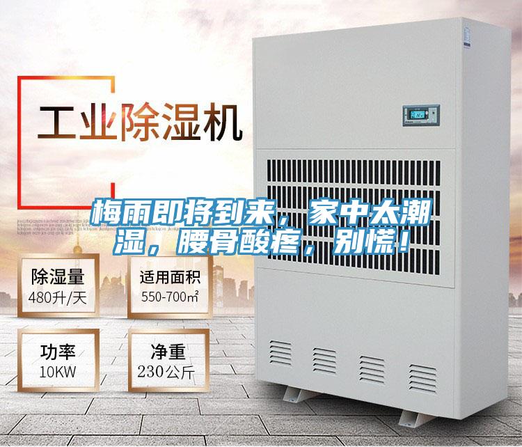 梅雨即將到來，家中太潮濕，腰骨酸疼，別慌！