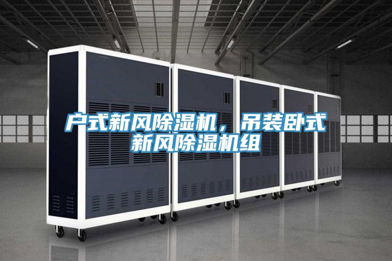 戶式新風除濕機,吊裝臥式新風除濕機組