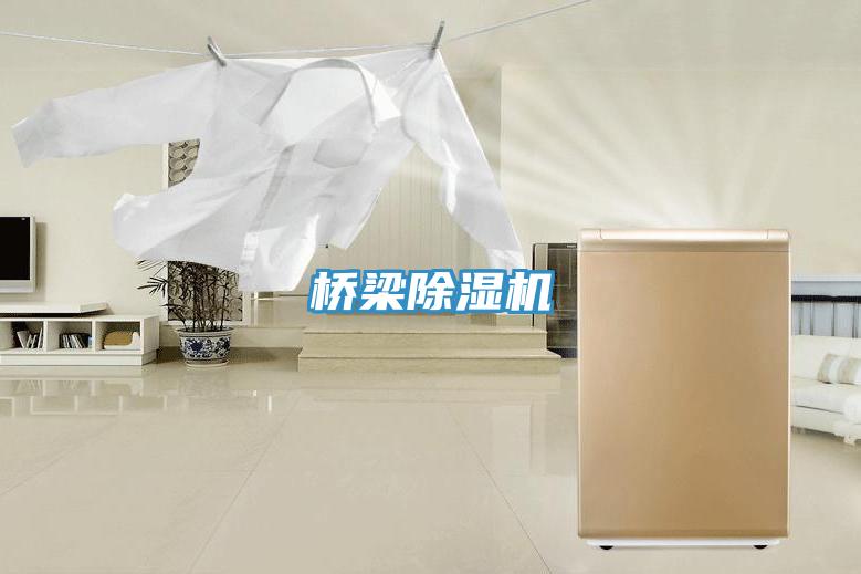 橋梁除濕機(jī)