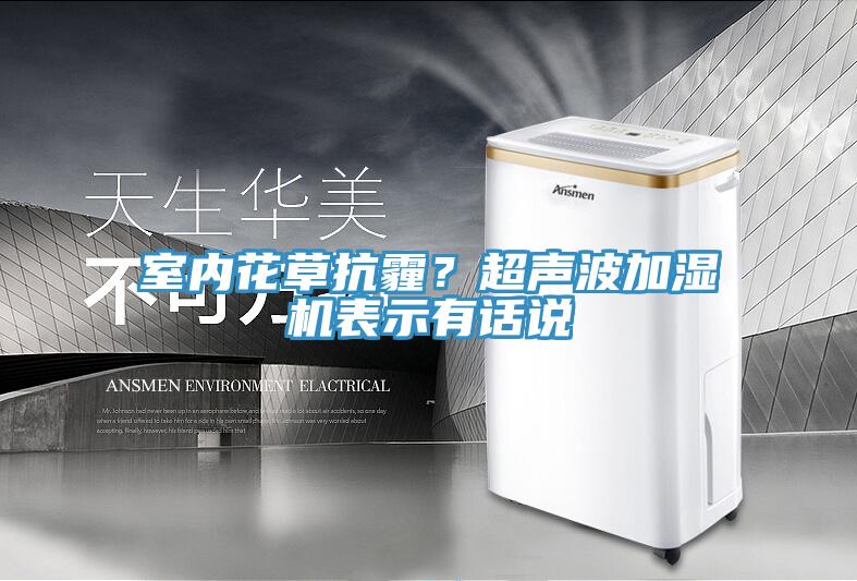 室內(nèi)花草抗霾？超聲波加濕機表示有話說
