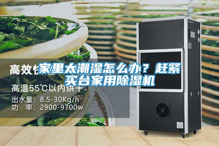 家里太潮濕怎么辦?趕緊買臺家用除濕機