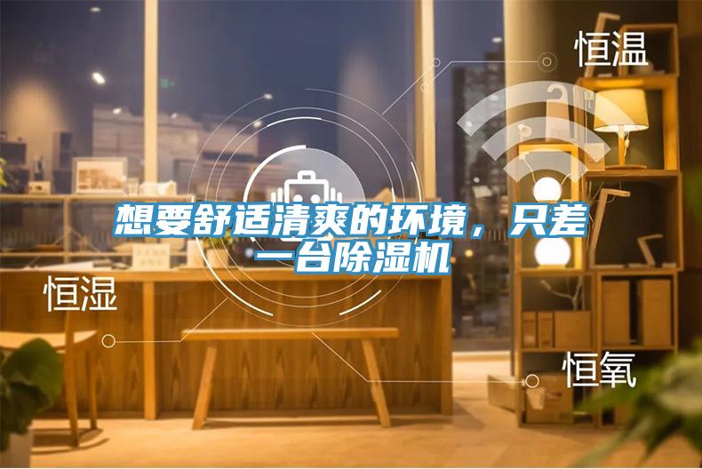 想要舒適清爽的環境,只差一臺除濕機