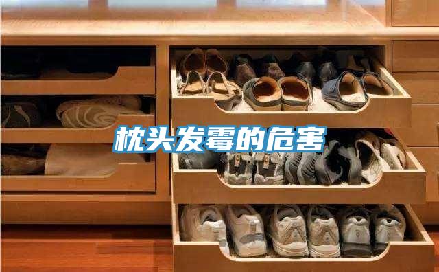 枕頭發霉的危害