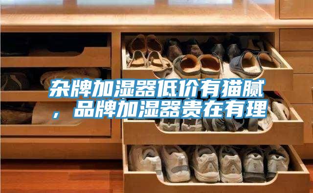 雜牌加濕器低價有貓膩，品牌加濕器貴在有理