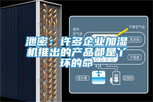 泄密:許多企業(yè)加濕機推出的產(chǎn)品都是丫環(huán)的命