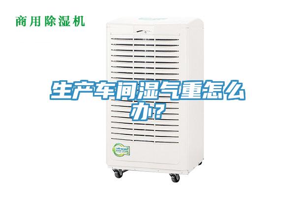 生產車間濕氣重怎么辦?