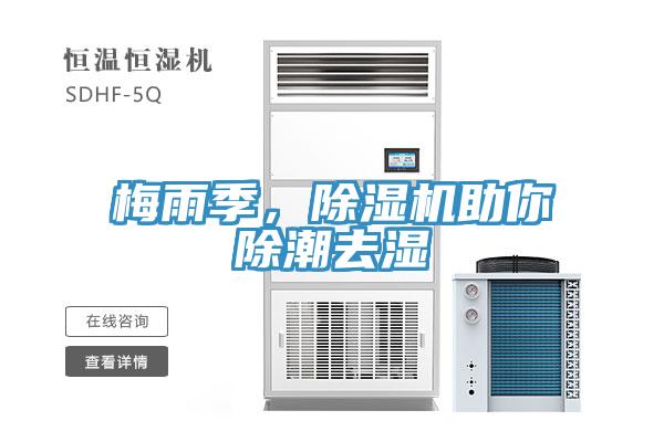 梅雨季，除濕機助你除潮去濕