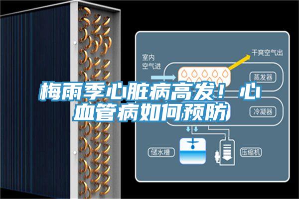 梅雨季心臟病高發！心血管病如何預防