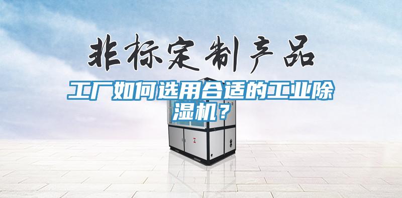 工廠如何選用合適的工業除濕機？