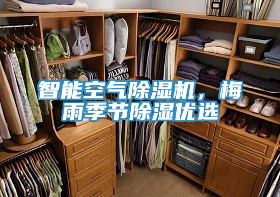 智能空氣除濕機,梅雨季節除濕優選
