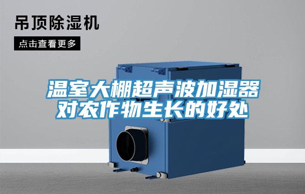 溫室大棚超聲波加濕器對農作物生長的好處