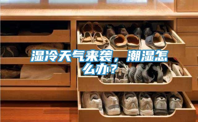 濕冷天氣來襲，潮濕怎么辦？