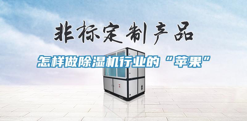 怎樣做除濕機(jī)行業(yè)的“蘋果”
