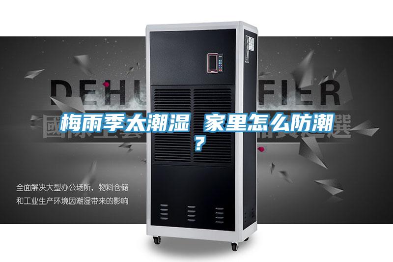 梅雨季太潮濕 家里怎么防潮?